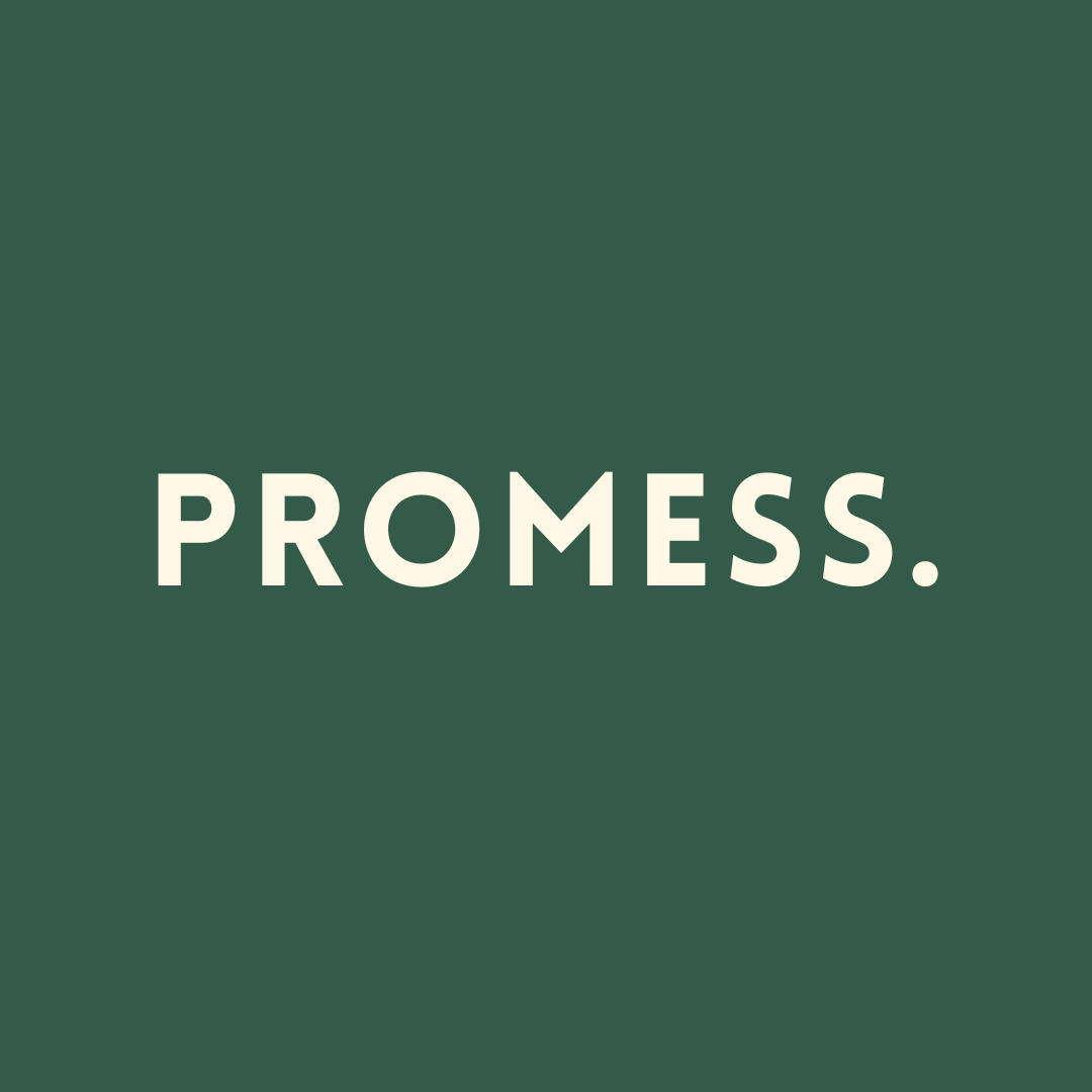 Identité visuelle de la marque Promess, shampoings solides