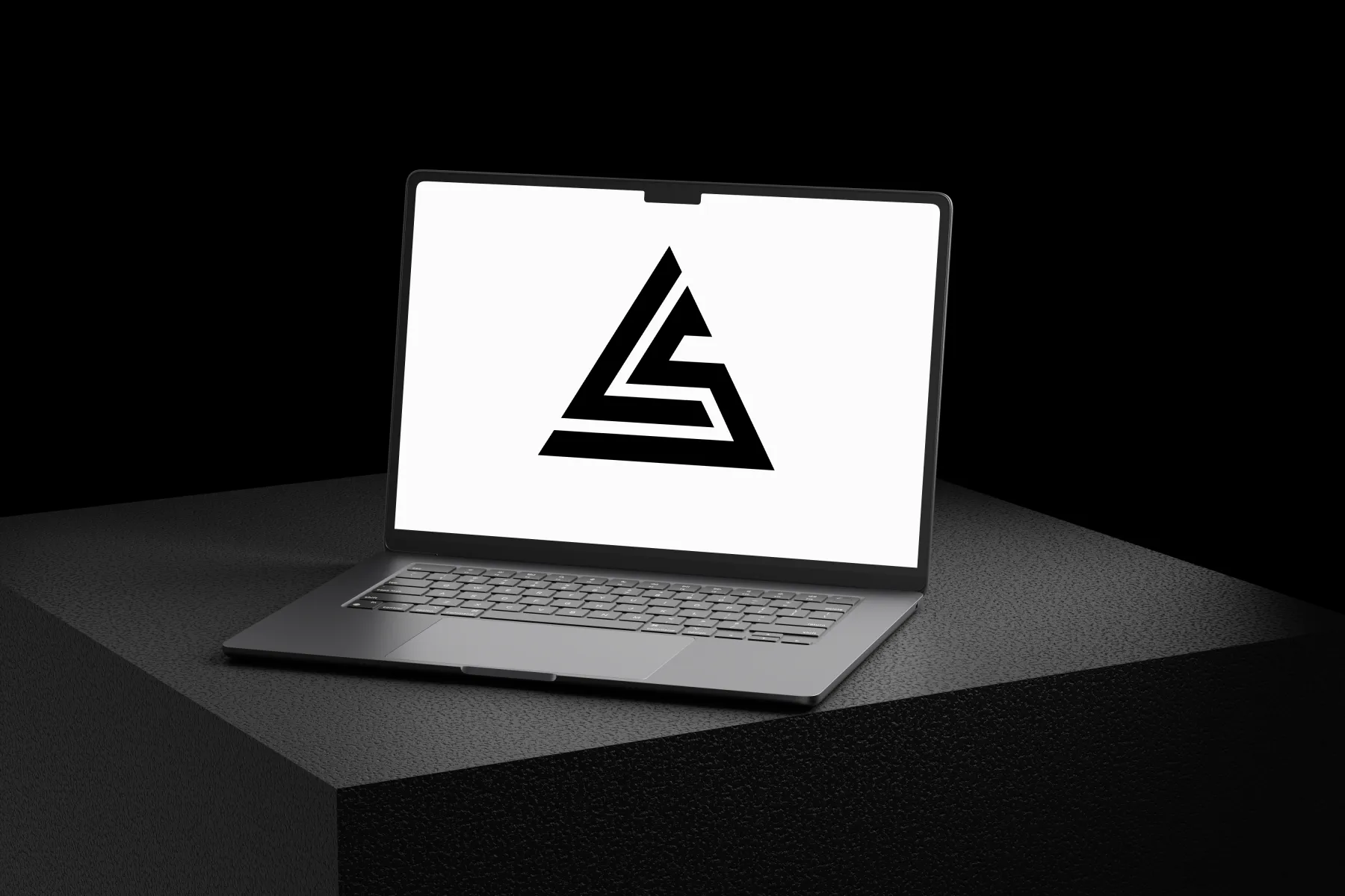 Identité visuelle LS Couvreur-Zingueur présentée sur écran